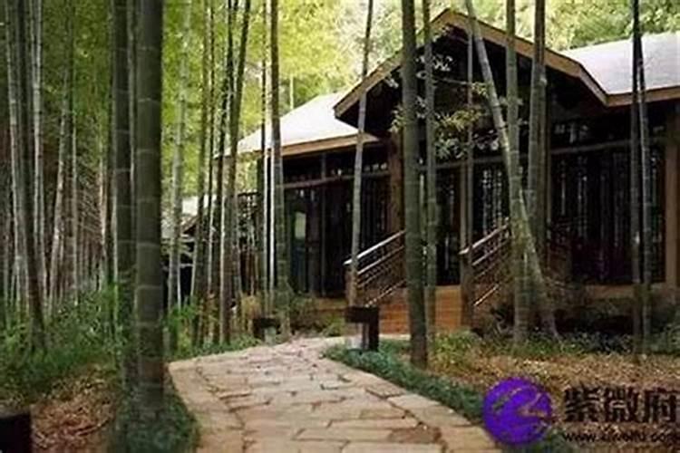 虞美人适合在别墅院子里种吗