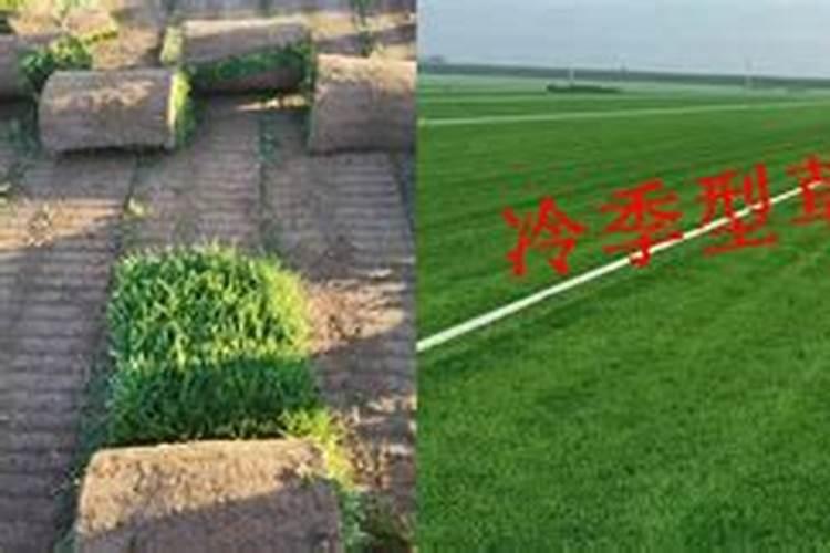 云峰大师是谁