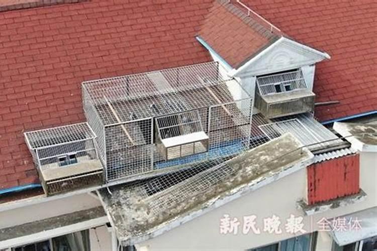 发富贵最快的风水宝地,出达官贵人,什么样的风水宝地出大人物