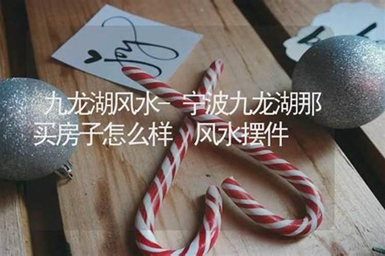官场风水学骆马风波