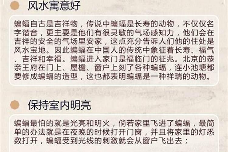风水学楼顶有蝙蝠好不好