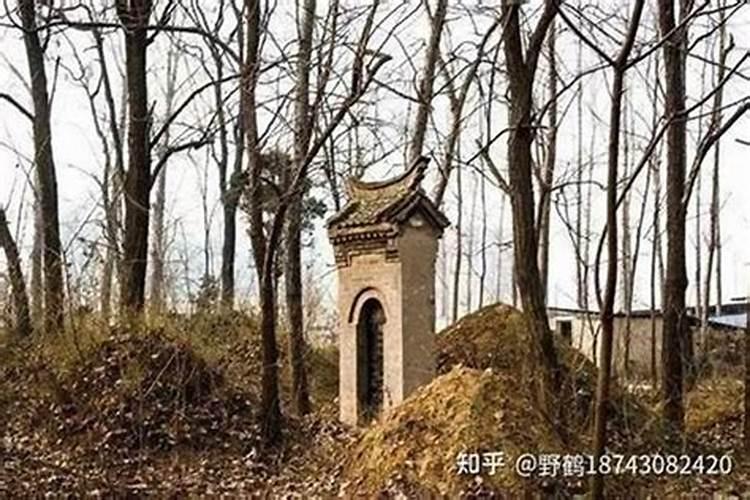 东南朝向的房子风水