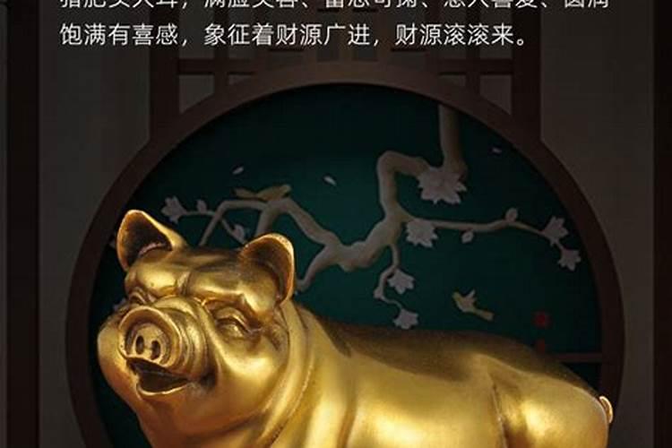猪年买什么楼层最旺财运