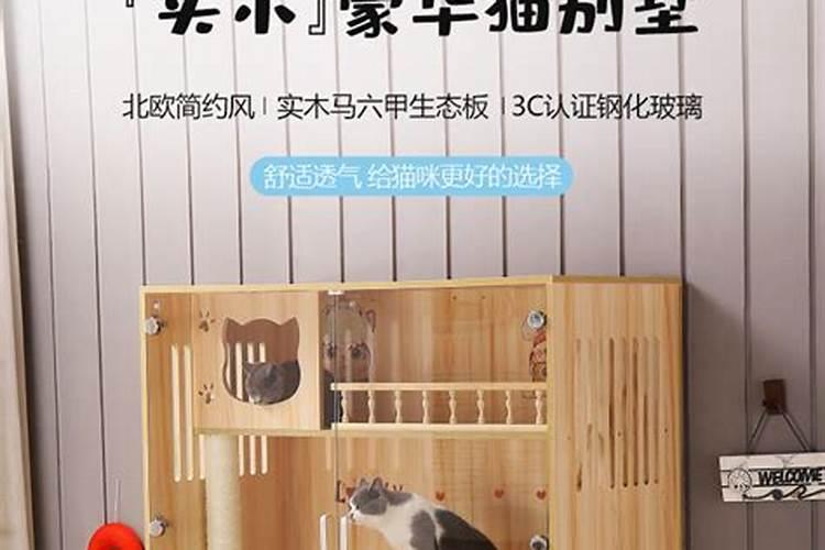 猫笼放在阳台还是客厅风水