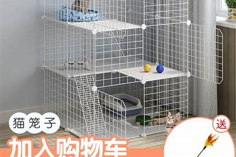 风水上猫窝猫笼一进门就见好不好？