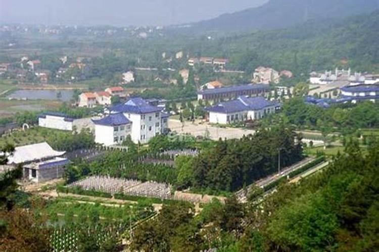 一般养鱼几条吉利
