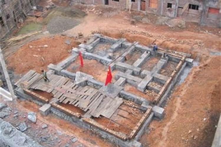 鸟在家里搭窝育小鸟预示什么