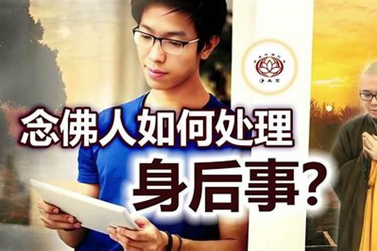 家中树上有鸟窝风水好？