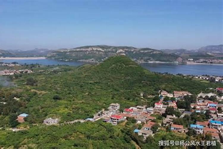 客厅财位上放什么盆栽