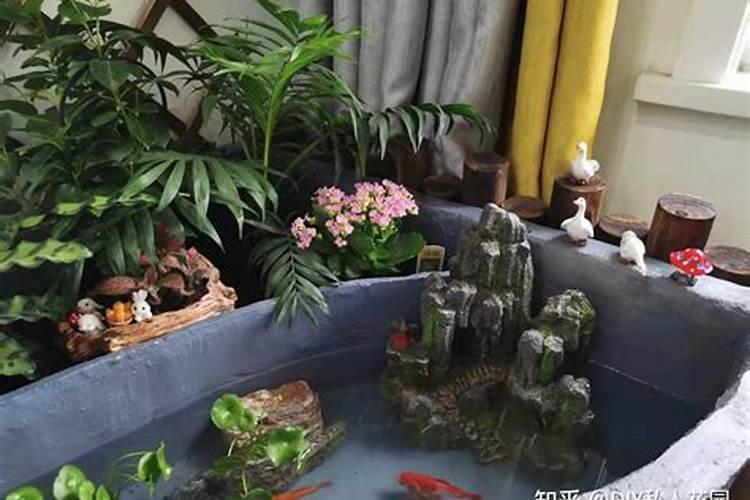 客厅假山鱼池的摆放有哪些风水讲究？