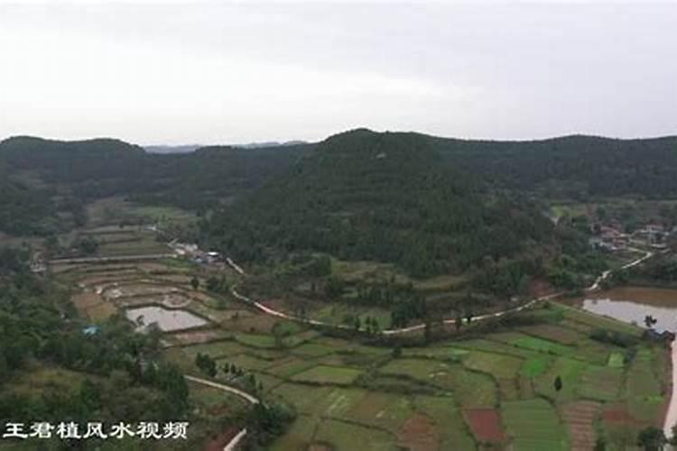 曾文迪多少岁？