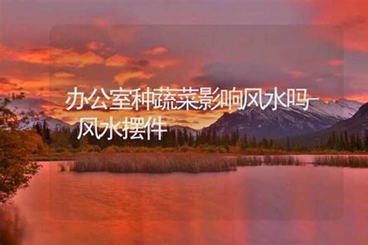 坐东朝西的房子客厅位东边好还是西边好？