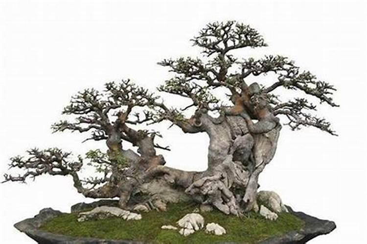 北京起名大师算‏命大师风水大师哪位最厉害？北京看邪病怪病癔病附体哪...