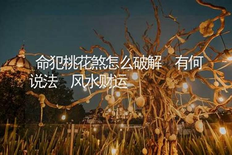 楼兰古墓中的昆仑神木上开的是什么花,有什么来历？