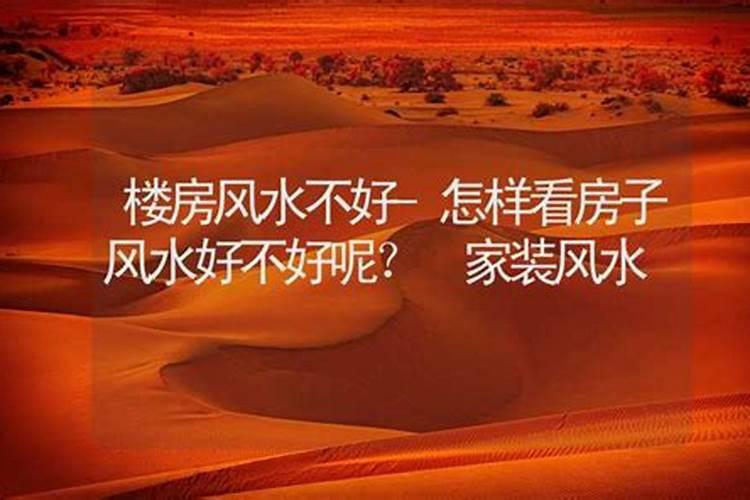 店铺一般放什么招财辟邪