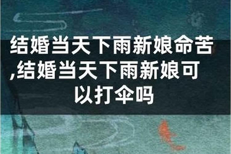 巨野金山景区的游玩攻略有哪些？