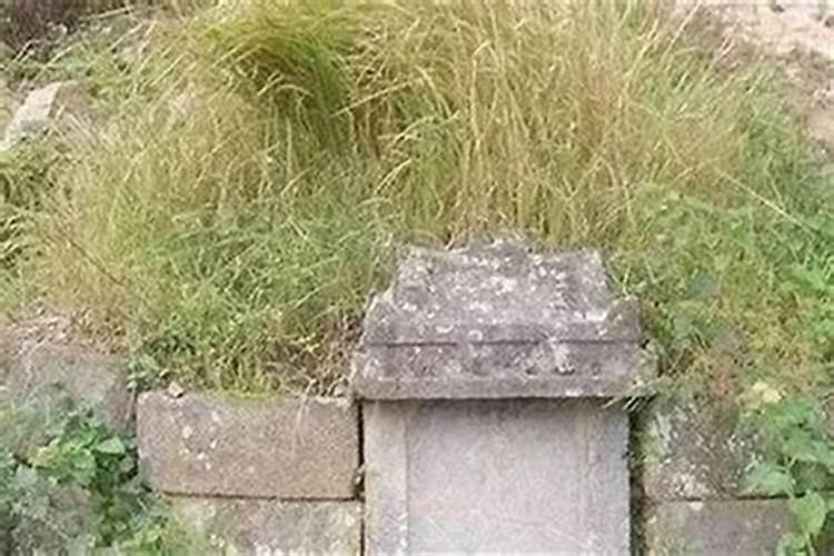 如何从坟地草看墓地好坏