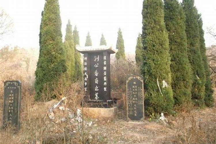 坟头上长梧桐树有什么影响？