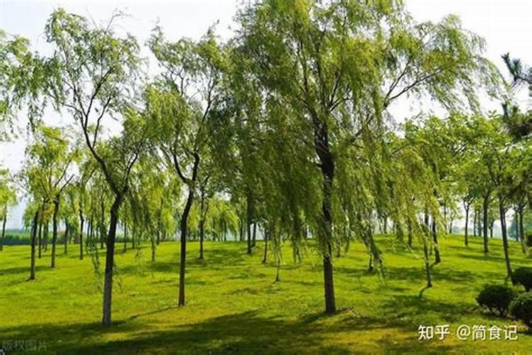 阴宅的叫风水,阳宅的好坏,叫什么？