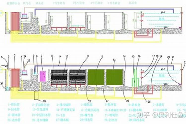 家庭鱼缸风水