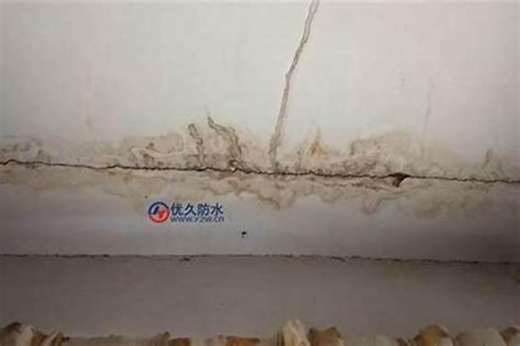 螺旋铁开花与否的风水寓意