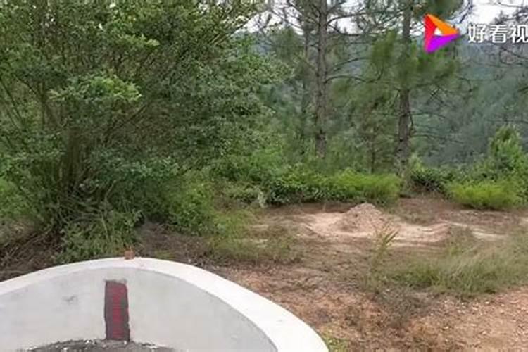 寻龙风水师师傅是好的还是坏的
