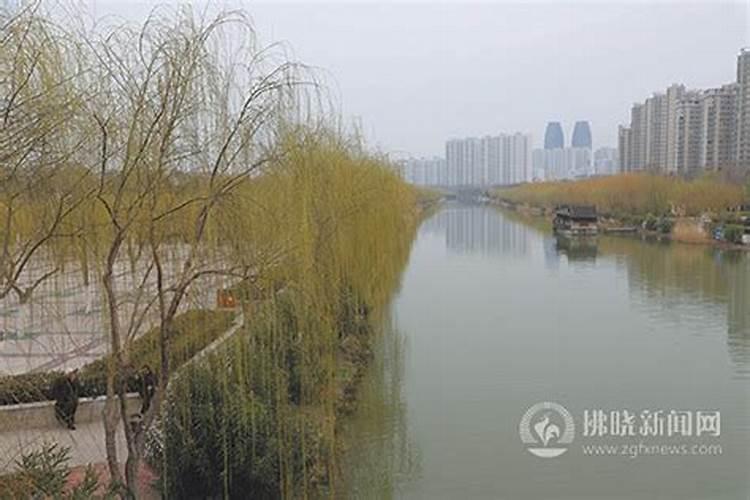 办公室养鱼有什么讲究