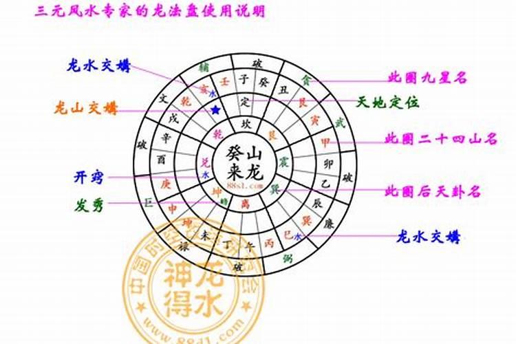 什么是三元龙？