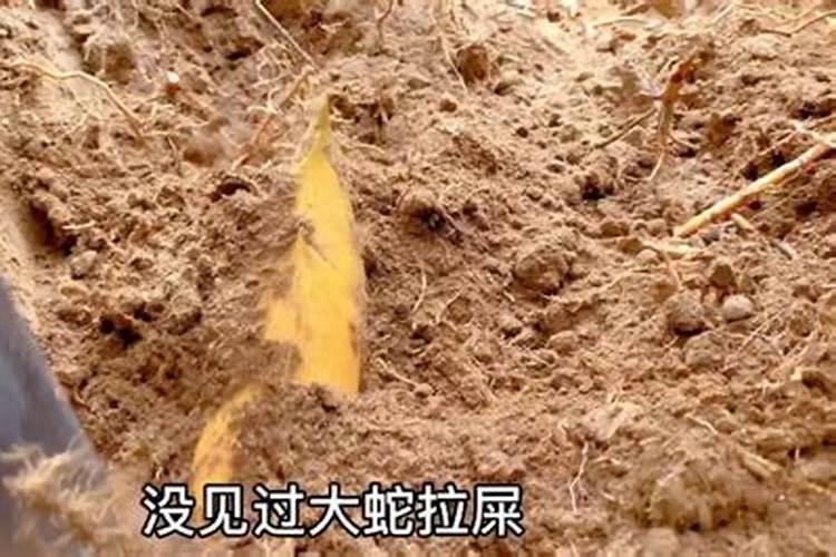 墓地风水什么是近水？