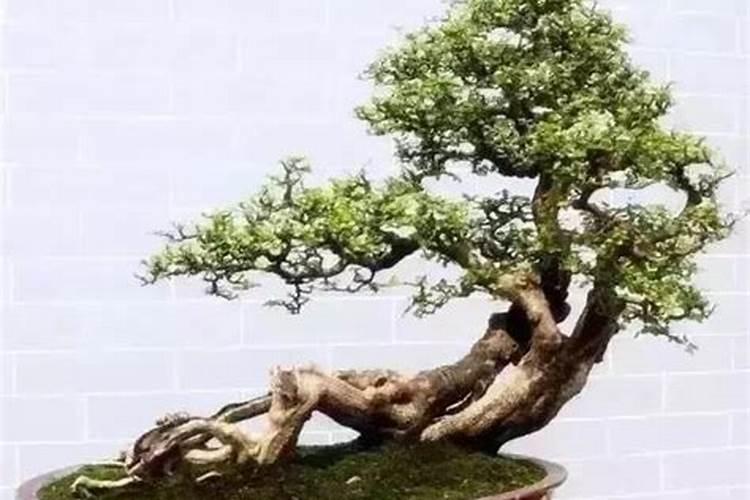 阳宅风水和阴宅风水的区别是什么