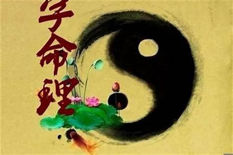 再网上可以干点什么赚钱