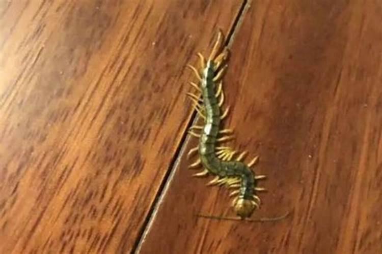 家里不能放的三种物品