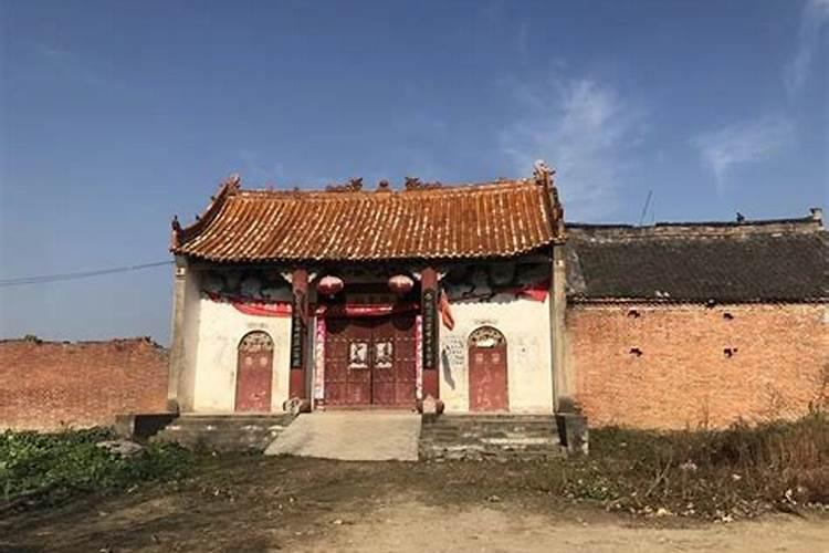 办公室盆栽摆放风水