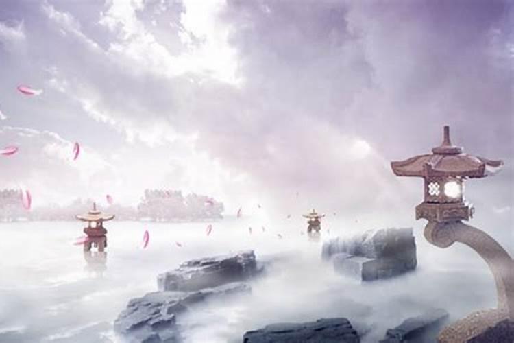 风水解释在地基看到一条黄蛇
