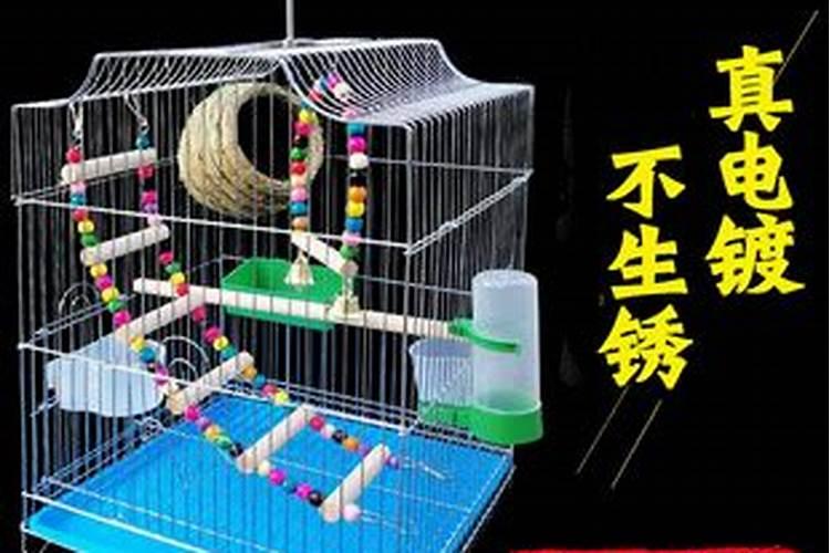 高人矮山清心浊水什么意思