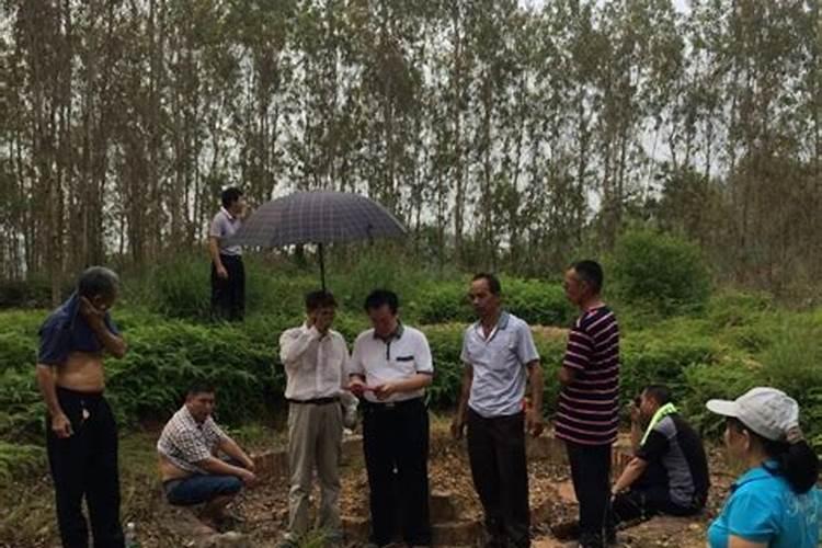 东海大桥的设计师介绍
