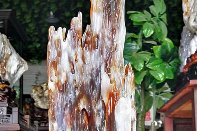 虎皮兰的摆放对于风水的作用是什么？