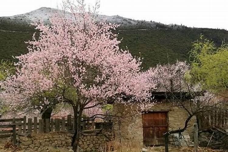李丞责感情方面