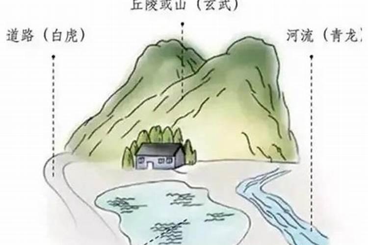 测来龙实地操作方法