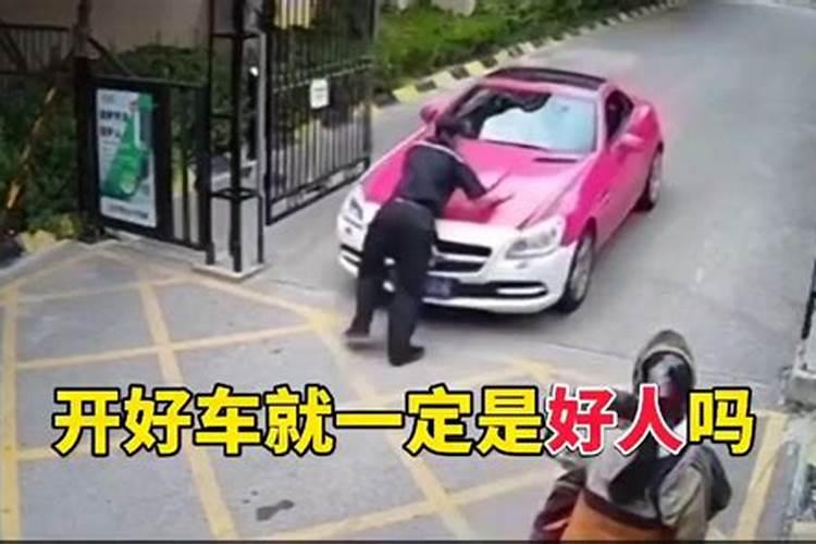 属狗开什么豪车最旺运