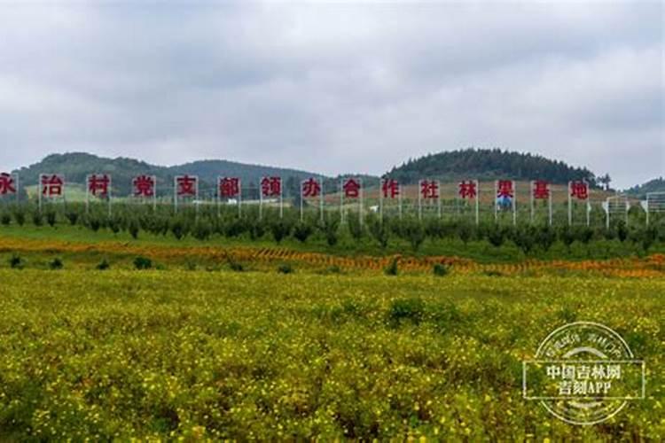 衣柜上柜门用的什么铰链