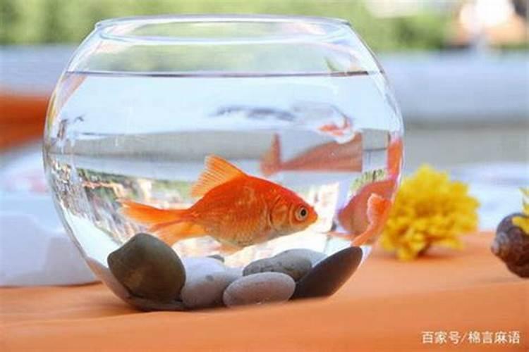 房子风水怎么看是好是坏 风水不好影响生财之位？