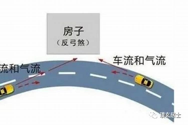 锦鲤一般养几条最好