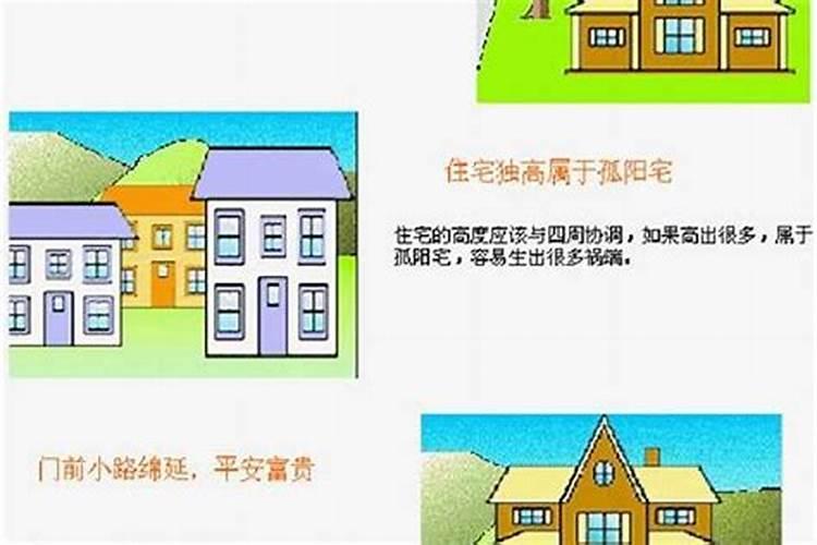 中国哪个大学有风水学