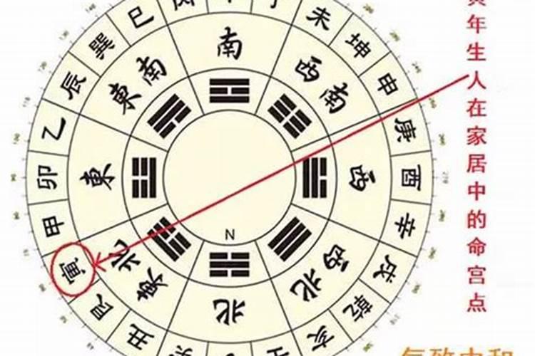 属虎人家里要如何设计风水才会旺