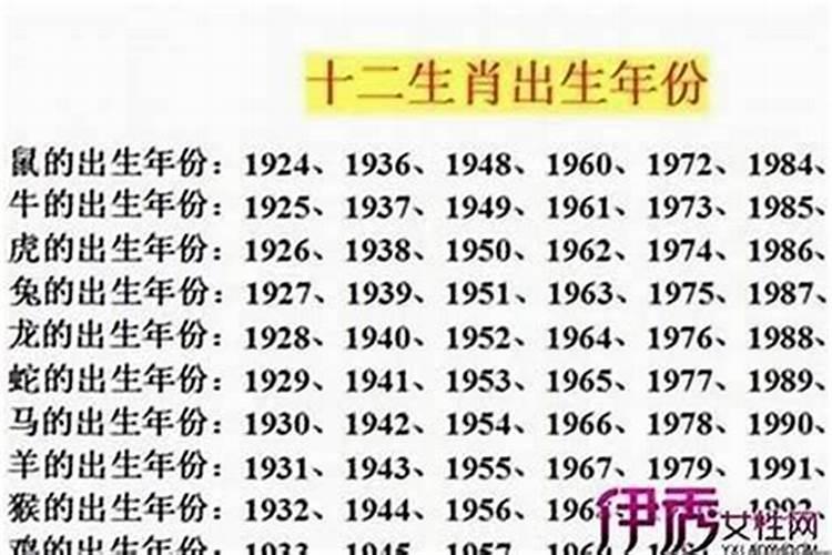 属兔的男人好吗