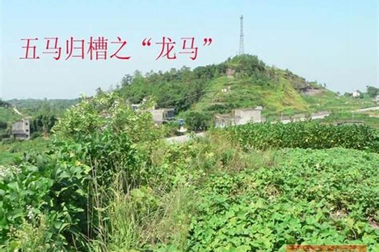 著名的国学大师都有哪些？