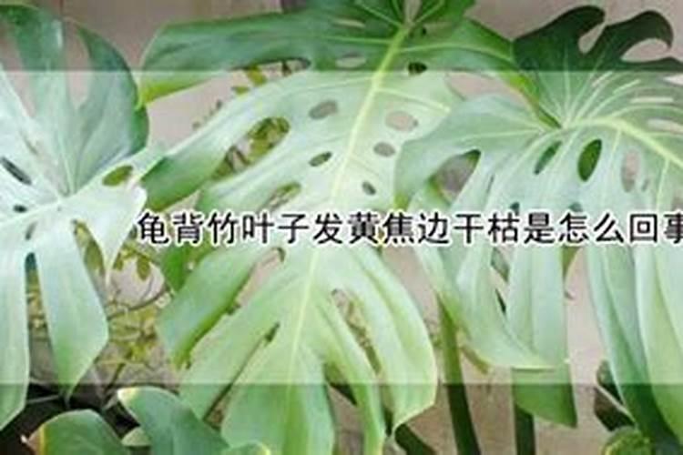 风水也能治病吗？是真的吗？