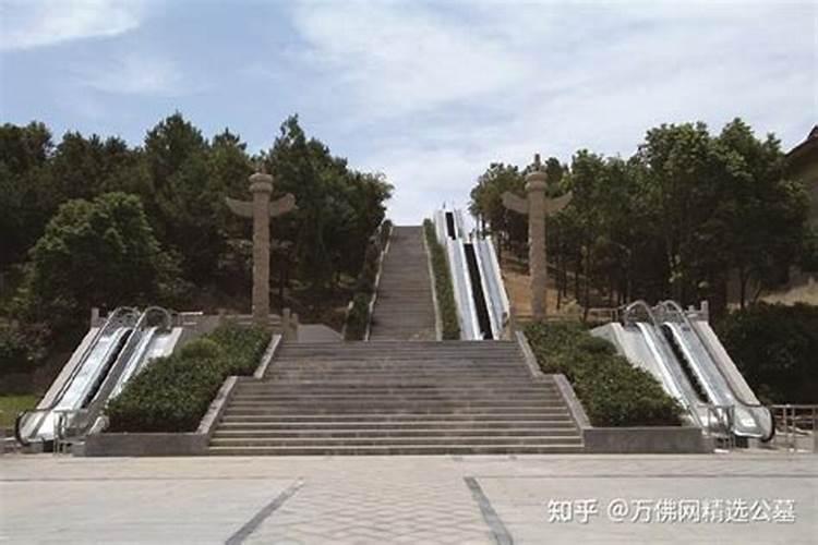 安远康莱博国际酒店在哪里