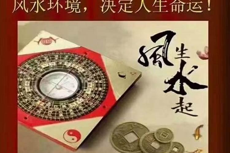 郑侨的经历